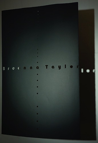 Breonna_Taylor - caught In the cross hairs